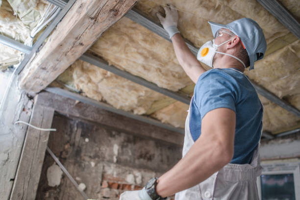 Best Insulation Installation Services in Pine Lawn, MO