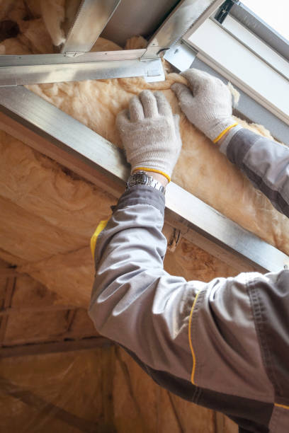 Best Residential Insulation in Pine Lawn, MO